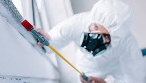 Best Commercial Pest Control  in Demopolis, AL